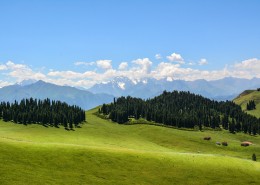 新疆索尔巴斯陶自然风景图片(14张)