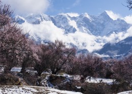 雪后的索松村风景图片(17张)