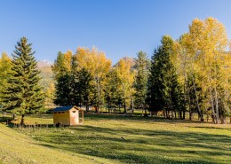 新疆白哈巴村风景图片(16张)