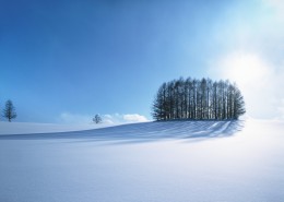 北海道風(fēng)光圖片(19張)