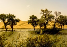 新疆罗布人村寨风景图片(11张)