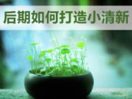 PS调出小清新植物图片