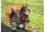 图片合成：喝啤酒的松鼠