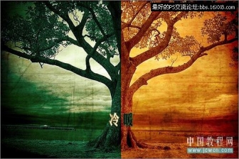 Photoshop调色教程：树木照片的冷暖色调