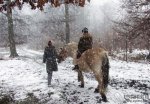 用滤镜做雪花照片效果